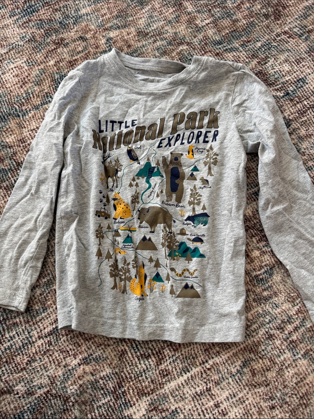 Carter's Gray 'National Park Explorer' Long-Sleeve Tee with Multi-Color Graphic
